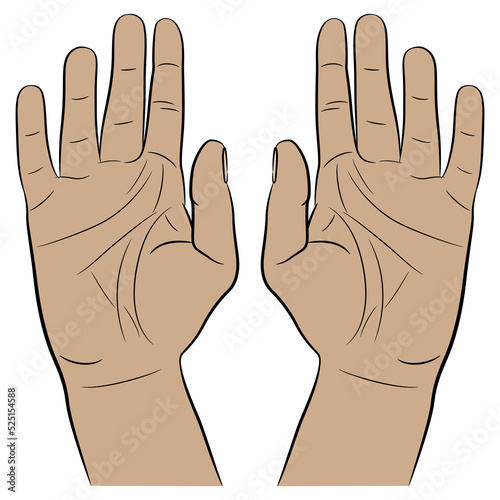 Two raised up human hands with open palms. Capitulation surrender gesture. Cartoon style. Isolated vector illustration.