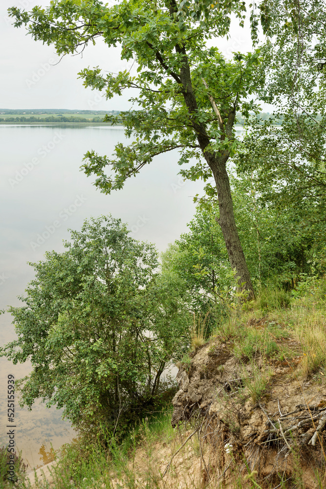 Pastoral landscape on the banks of the lake in Belarus Pastoral landscape on the banks of the lake in Belarus
