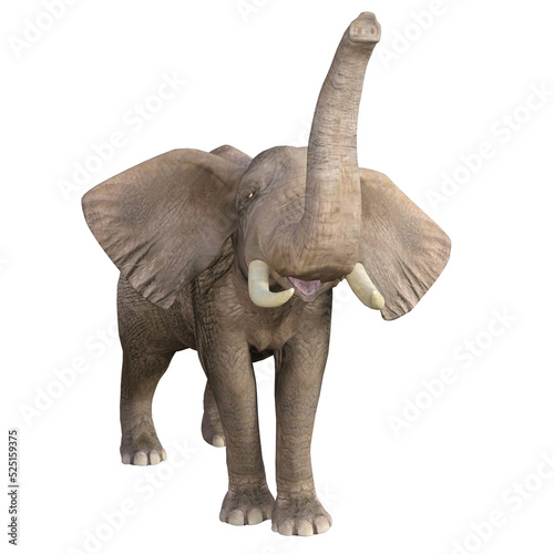  Elephant 3D Illustration