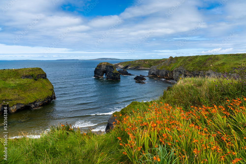 view of the cliffs and wild shoreline at Ballybunion in County Kerry with colorful summer wildflowers