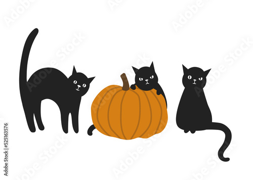Black cats and pumpkin. Halloween illustration for card, flyer, invitation design.