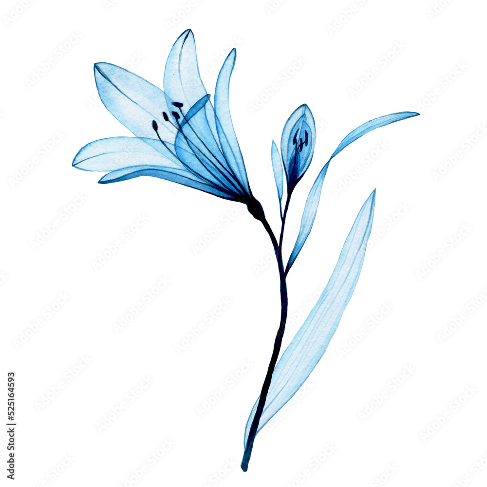 Circle Of Blue Flowers, Floral Ornament, Six Petals And Grass, Green Leaf  And Stem, White Background, Isolated Object, Simple Stylized Drawing,  Bouquet Or Flower Bed Royalty Free SVG, Cliparts, Vectors, and Stock