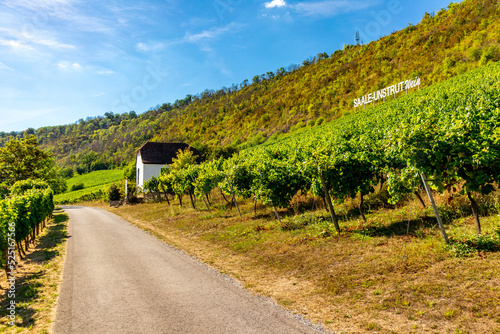 Wallpaper Mural Kurzer Zwischenstop an der Weinmeile zwischen Sachsen und Thüringen bei Naumburg  - Sachsen - Deutschland Torontodigital.ca
