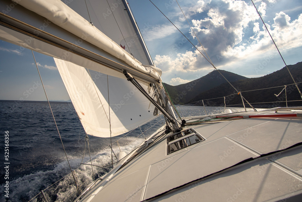 Fototapeta premium sailing in the bay