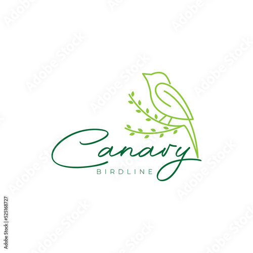 line minimalist beauty bird canary logo design