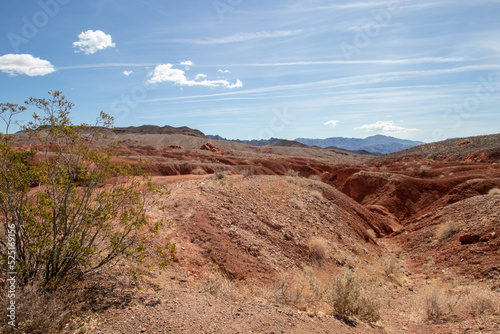 View of red sand in the desert on a sunny spring day