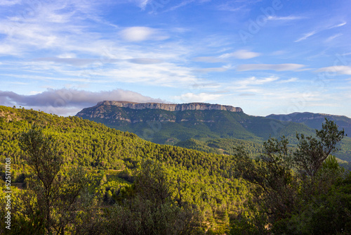 Landscape of a green forest with a large mountain in the center and clouds on top of it