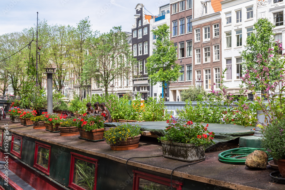 Flower boxes with colorful blooming plants on the roof of a houseboat on the Prinsengracht in Amsterdam.