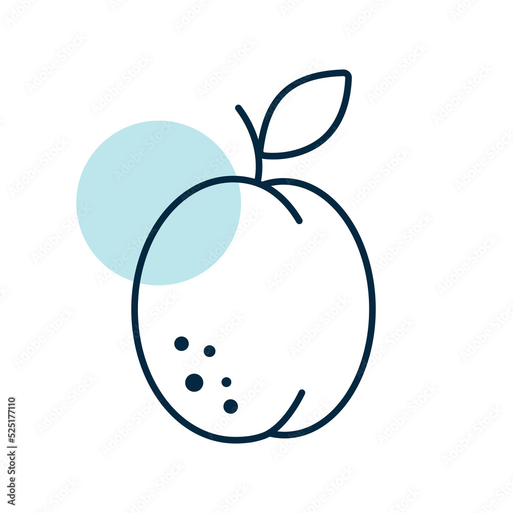 Apricot isolated design vector icon. Fruit sign Apricot isolated design vector icon. Fruit sign