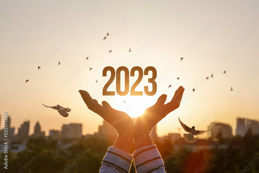 New Year 2023 with hopes for peace and prosperity. - obrazy, fototapety, plakaty 