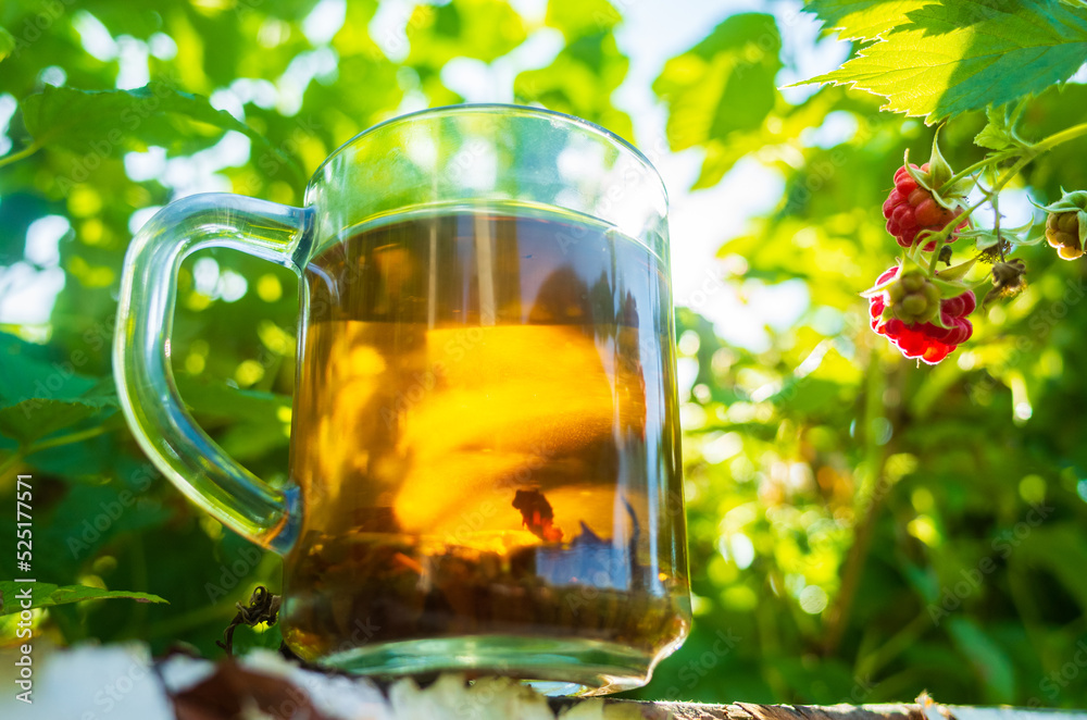 Transparent mug with fresh hot berry black tea and raspberry. An invigorating drink in the early morning in nature with the rays of the warm sun Transparent mug with fresh hot berry black tea and raspberry. An invigorating drink in the early morning in nature with the rays of the warm sun