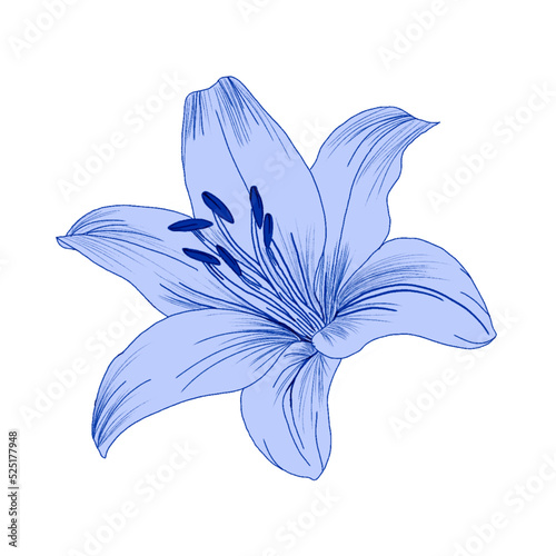 Fototapeta Naklejka Na Ścianę i Meble -  Blue Flowers Design Very Cool