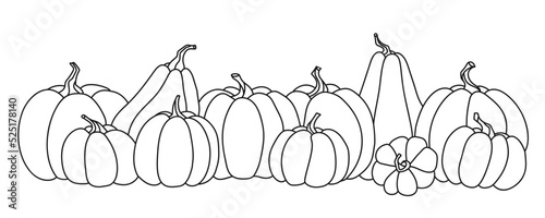 Vector hand drawn row of a pumpkins, outline doodle image. Food sketch illustration for print, web, mobile and infographics isolated on white background photo