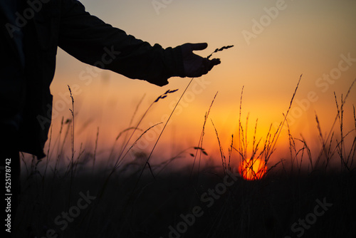 A man's hand touching grass at sunset. Caring for the environment. The ecology the concept of saving the world and love nature by human