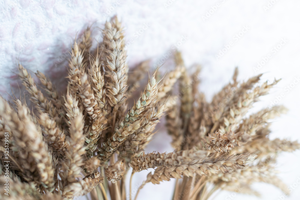 A bouquet of yellow wheat at the white village wall, a place under the text. A bouquet of yellow wheat at the white village wall, a place under the text.