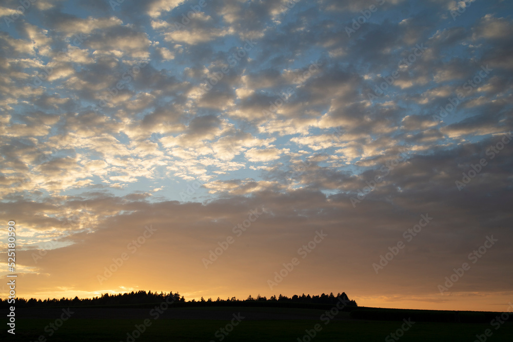 sunset over the field with Cirrocumulus clouds