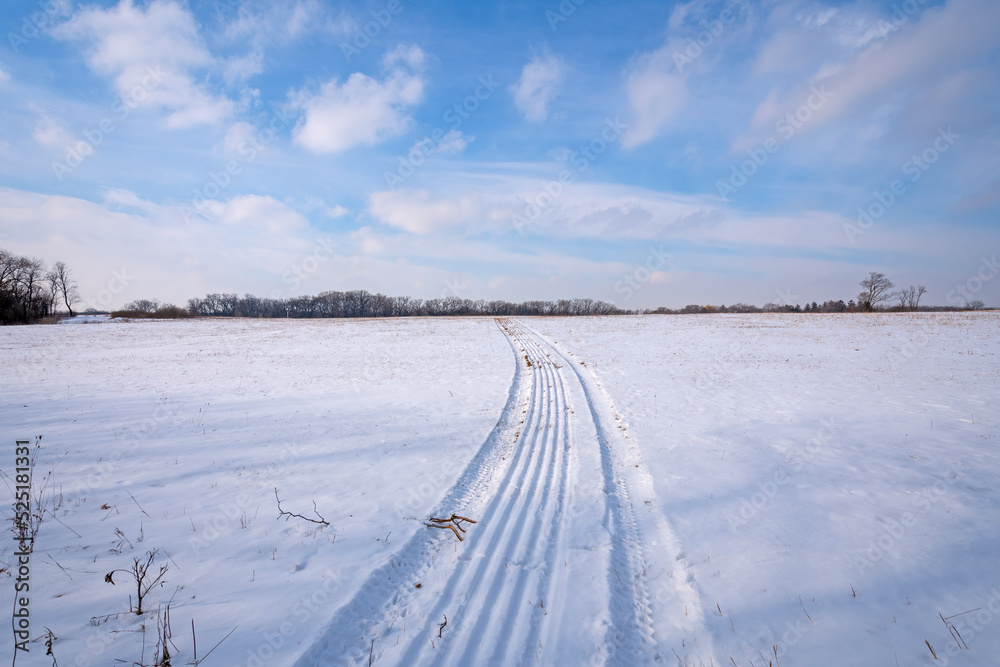 Obraz premium Tracks Into a Snowy Field