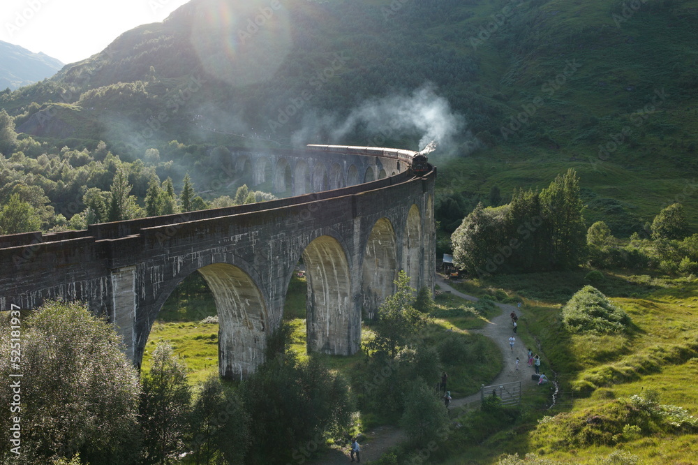 Fototapeta premium steam train on the bridge