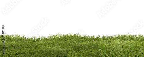 green grass meadow outdoor 3d-illustration