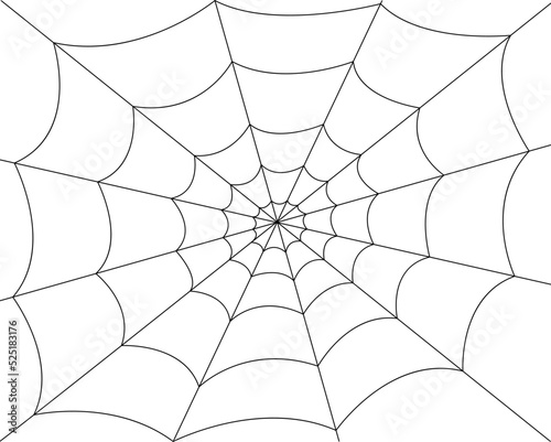 Spider web on white background