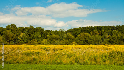 autumn landscape, in the photo meadow green forest and blue sky