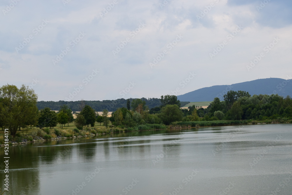 lake and forest lake and forest