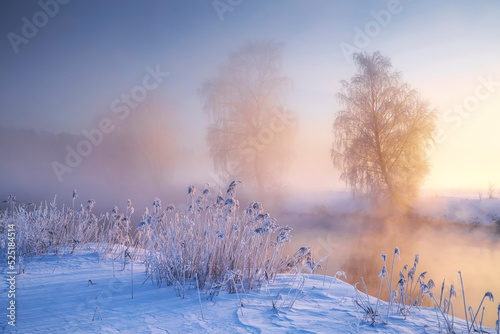 Frosty winter morning