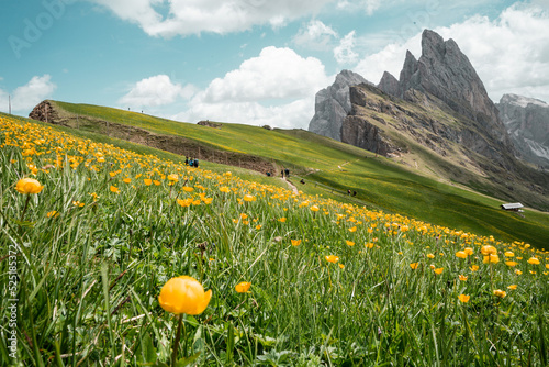 Seceda Dolomites. High quality photo