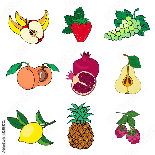 set of fruits and berries