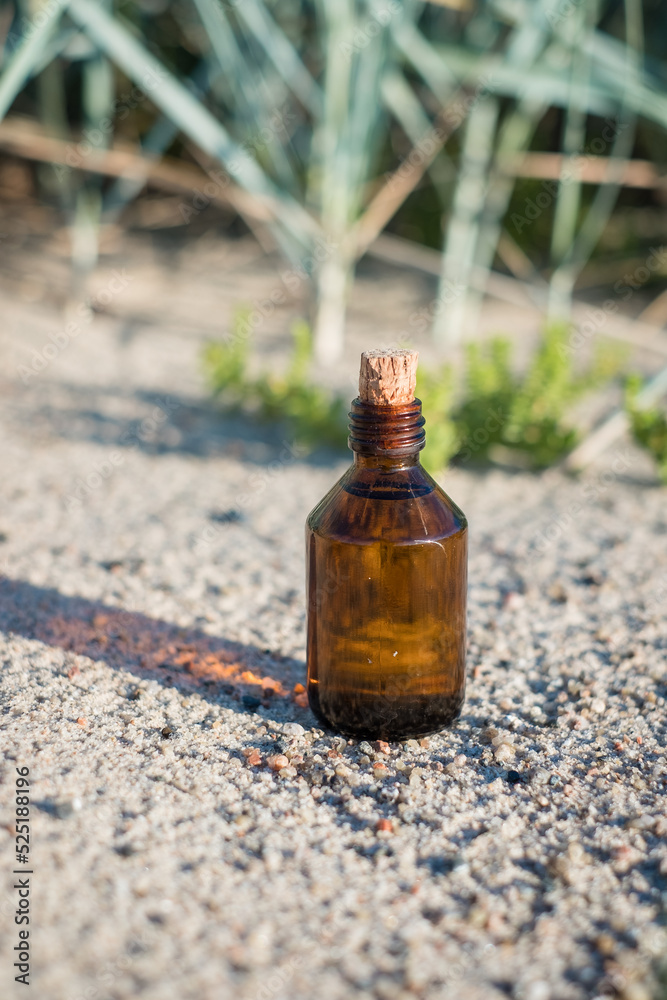 Essential oil bottle on a sandy beach. Little brown medicine bottle in nature background. Organic CBD hemp oil. Essential oil bottle on a sandy beach. Little brown medicine bottle in nature background. Organic CBD hemp oil.