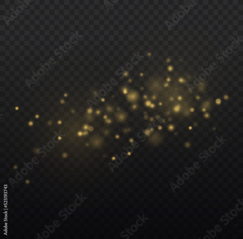 Blur sparks stars  gold dust  sparkle lights bokeh