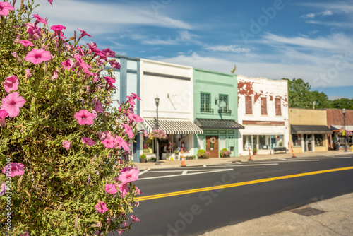 View of Inman, South Carolina. Focus on a beautiful, flowering bush with downtown Inman in the background. Colorful shops in a quaint, rural, small, southern town. © Page Light Studios