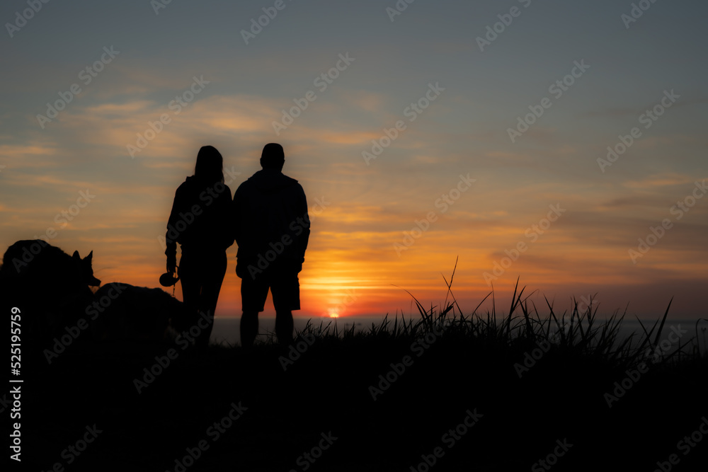 romantic sunset overlooking the sea with your inseparable pets