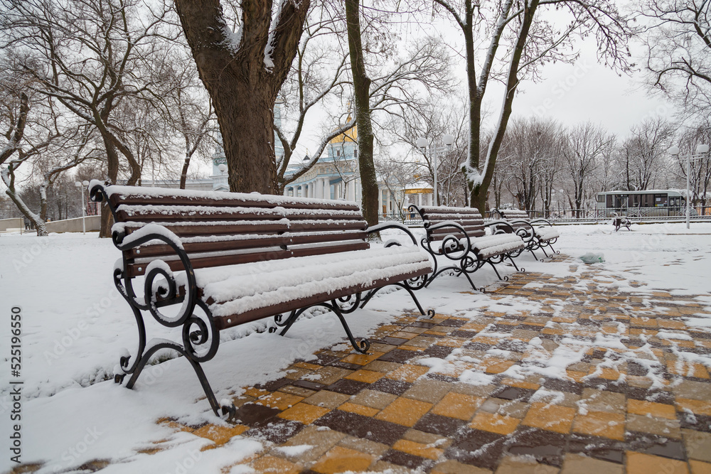 Beautiful winter landscape, trees and bench in park covered with snow.