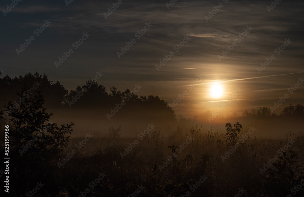 sunrise over the fields, Polish wild nature, landscape at sunrise