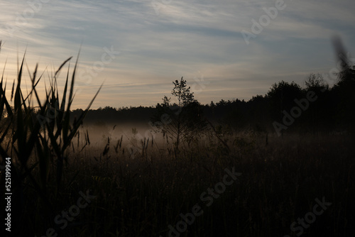sunrise over the fields, Polish wild nature, landscape at sunrise