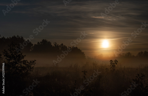 sunrise over the fields, Polish wild nature, landscape at sunrise