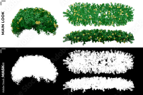 3D Rendering of Garden Plants (Residential or Commercial Space) with alpha mask to cutout and PNG editing. Vegetation for Nature Compositing