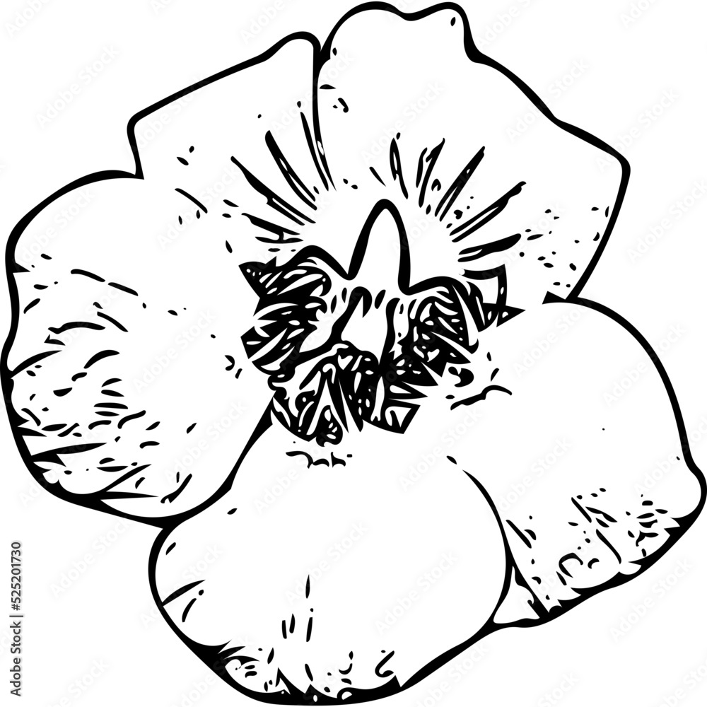 Obraz premium hand drawn flower
