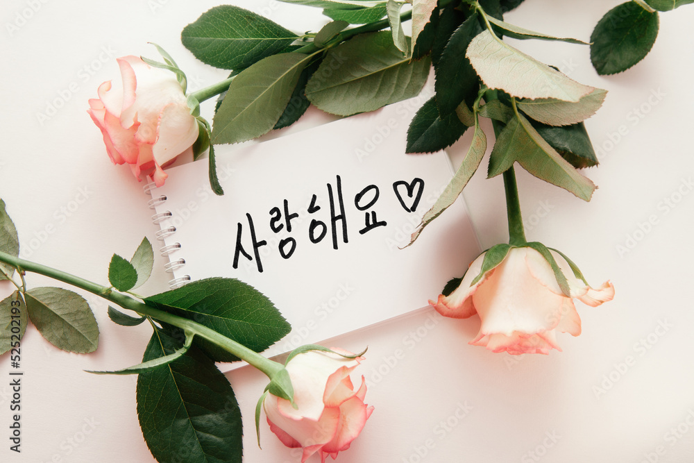 Photography Poster I love you - card with korean text and rose