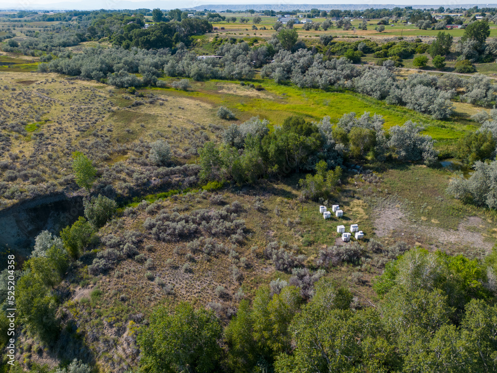 White bee hive boxes for bumble bees from aerial drone uav in Wyoming to help protect bees and pollination