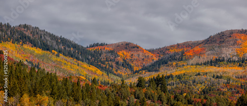 Mountains with colorful foliage in Uinta Wasatch Cache national fores photo
