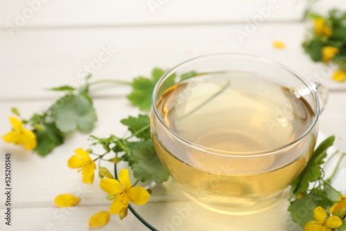 Glass cup of aromatic celandine tea and flowers on white wooden table, closeup. Space for text