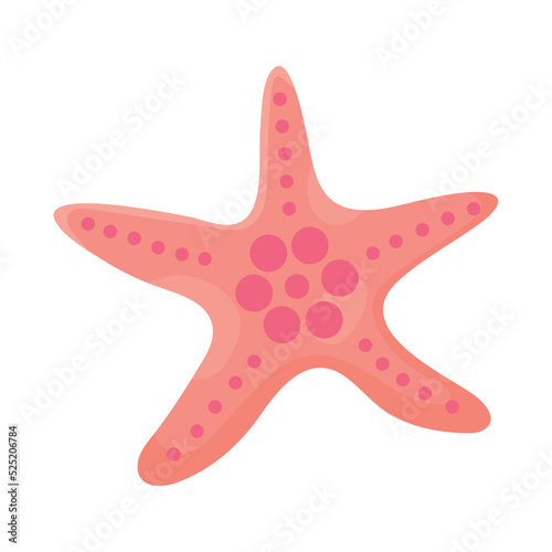 pink sea star