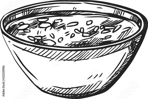 Mexican hot soup cuisine food sketch