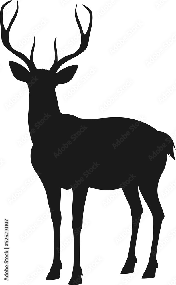 Obraz premium Buck reindeer animal isolated hunting sport mascot