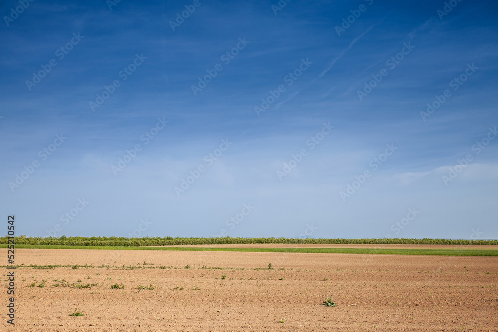 Φωτογραφία Agricultural landscape, a plowed field in the countryside of Serbia, in Voivodina, between surduk and slankamen in spring