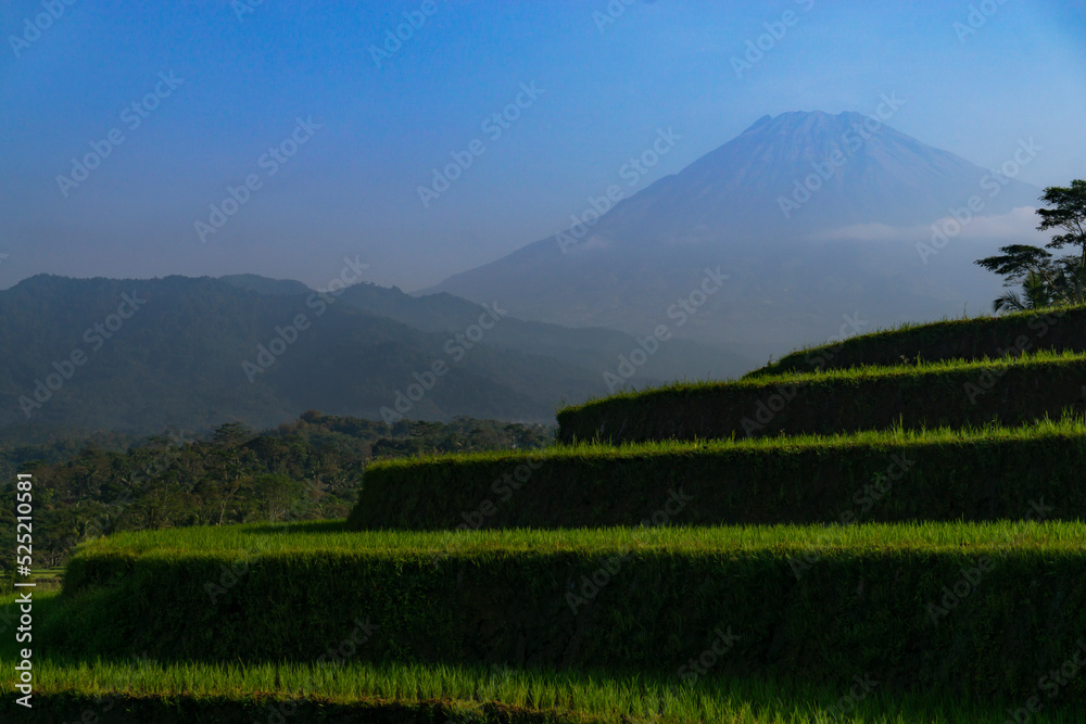 Landscape of terraced rice fields and mountains in tropical of Indonesian. Kajoran village, central java