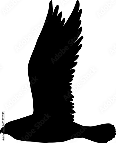 Eagle in flight isolated falconry sport symbol