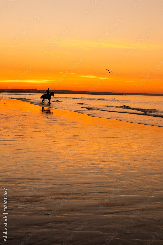 Obraz premium sunset on the beach